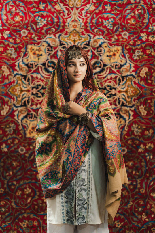 Kashmiri Kalamkari Sozni Shawl - Multi Colour | Handmade - Kashmir Jama