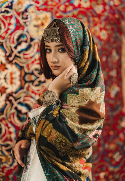 Kalamkari Sozni Multi Colour Black Merino Shawl - Double - Kashmir Jama