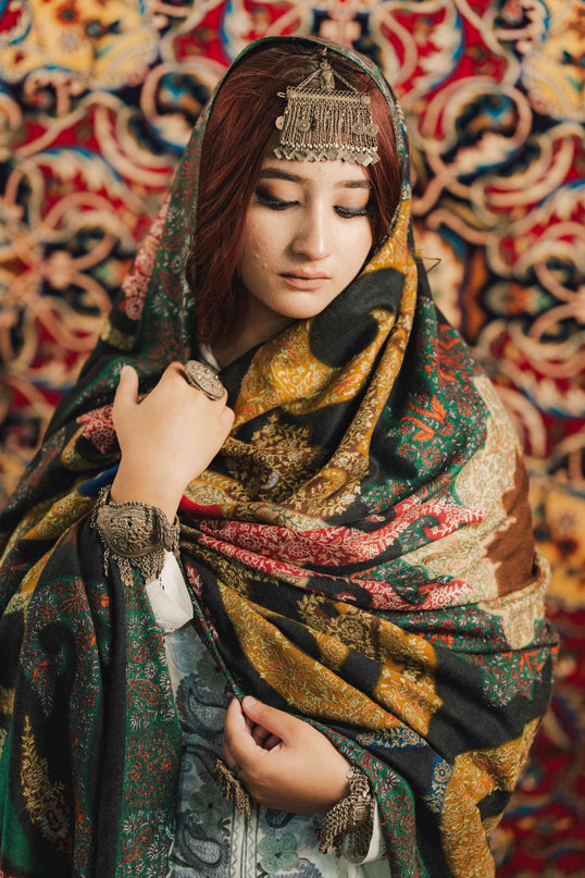 Kalamkari Sozni Multi Colour Black Merino Shawl - Double - Kashmir Jama